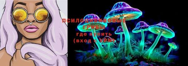 a pvp Касимов