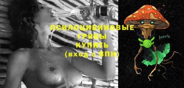 a pvp Касимов