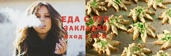 тгк Шадринск