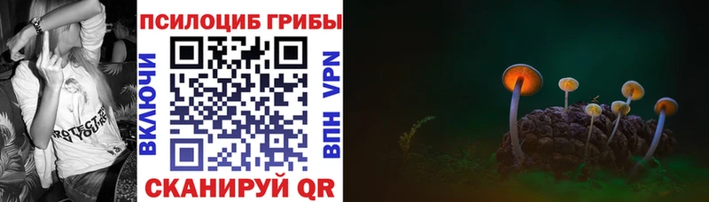 Галлюциногенные грибы Cubensis  Фрязино 
