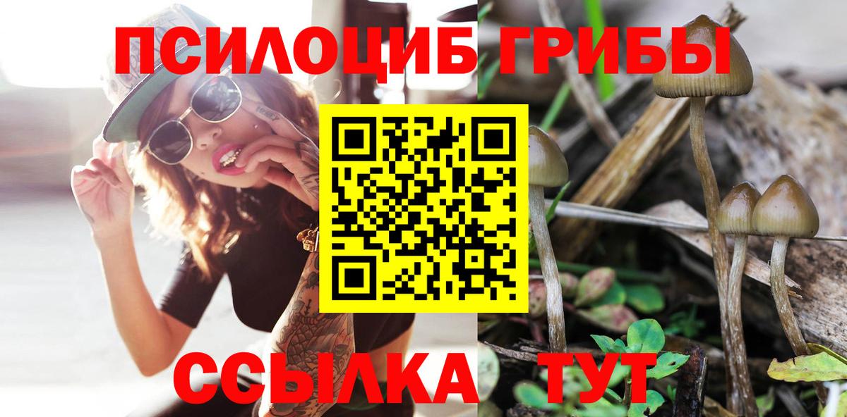 Галлюциногенные грибы MAGIC MUSHROOMS  Фрязино 
