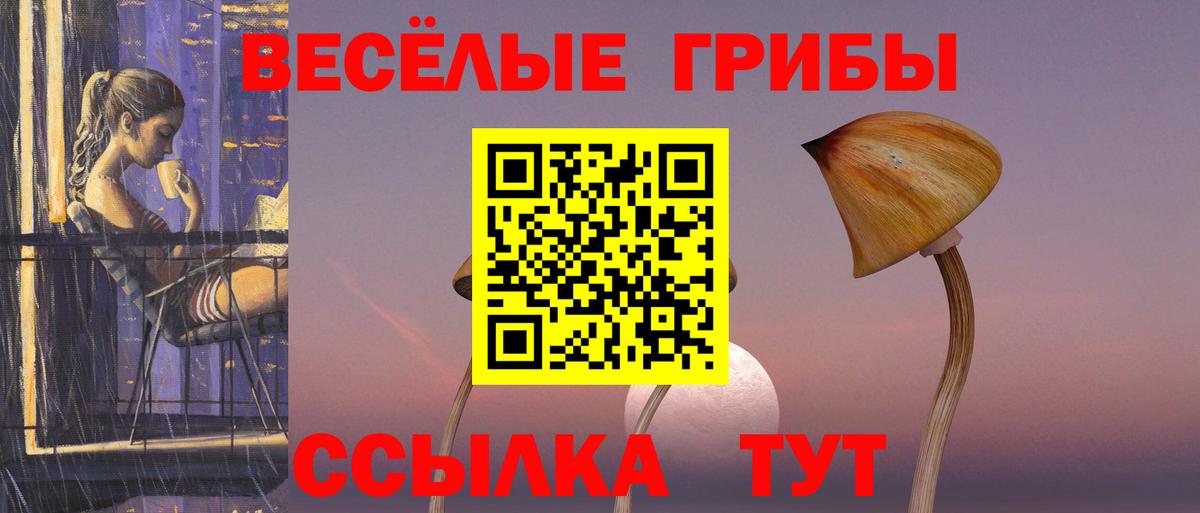 Галлюциногенные грибы GOLDEN TEACHER  Вход с VPN  Фрязино 
